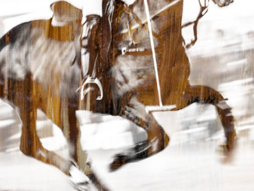 Framåt - Equestrian art - philippa Davin